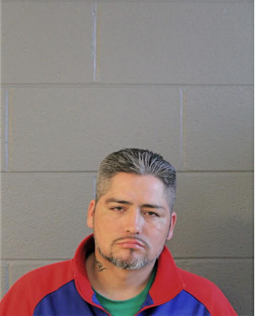DAVID OCON, Cook County, Illinois