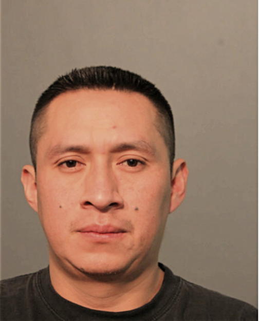 FERNANDO JHONY PUCHA PUCHA, Cook County, Illinois