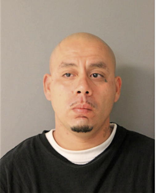 NOEL J RAMOS, Cook County, Illinois
