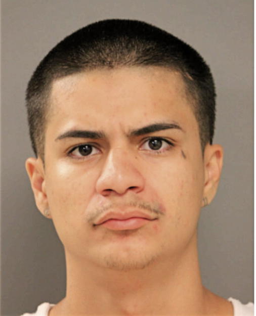 RAFAEL M RANGEL, Cook County, Illinois