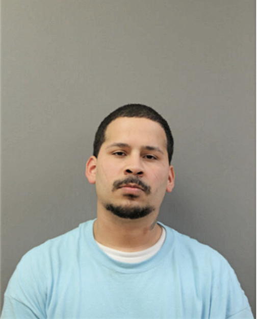 LUIS A RIVERA, Cook County, Illinois