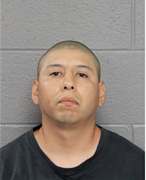 NEFTALI SALGADO, Cook County, Illinois