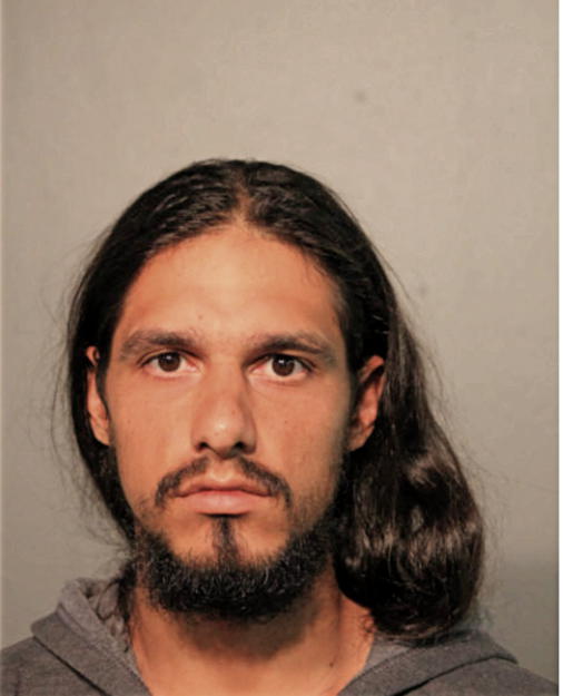 ANTHONY J SANCHEZ, Cook County, Illinois