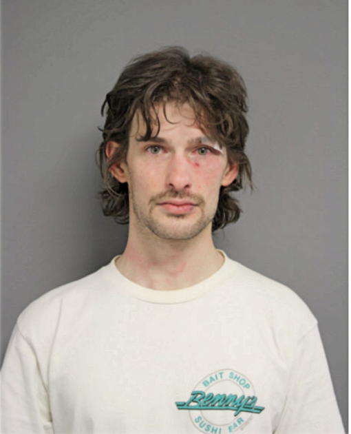 ADAM W STAFFORD, Cook County, Illinois