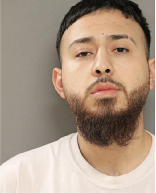 GENARO ULLOA, Cook County, Illinois