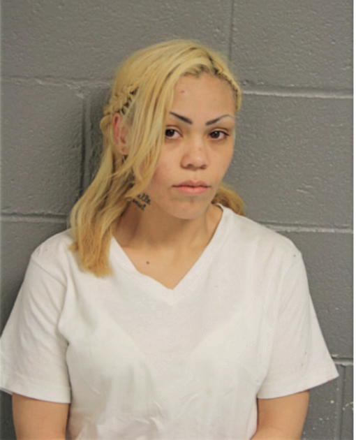 IVETTE VARGAS, Cook County, Illinois