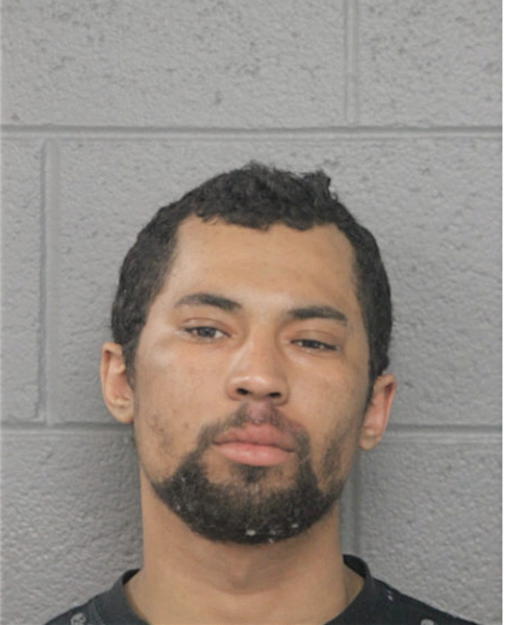 CHRISTOPHER W ADAMS, Cook County, Illinois
