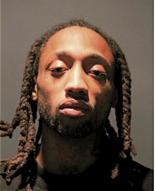 DEVIN J WARNICK, Cook County, Illinois