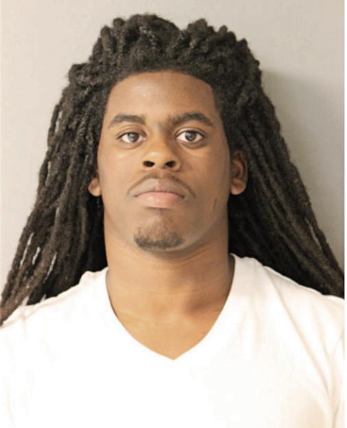 KEVIN L BASS, Cook County, Illinois