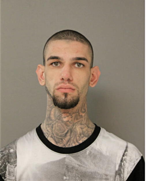 JERMIN BEGANOVIC, Cook County, Illinois