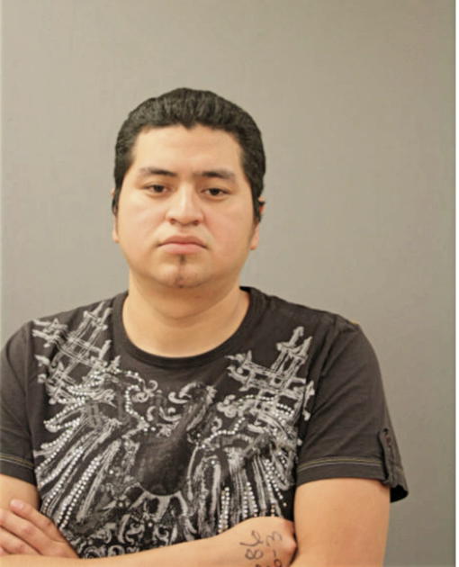 JUAN E BORGES-PRUDENTE, Cook County, Illinois