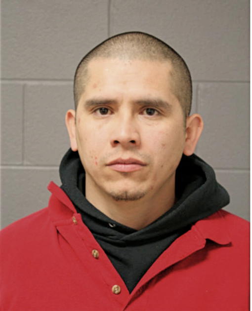 DAVID R CASTELLANOS, Cook County, Illinois