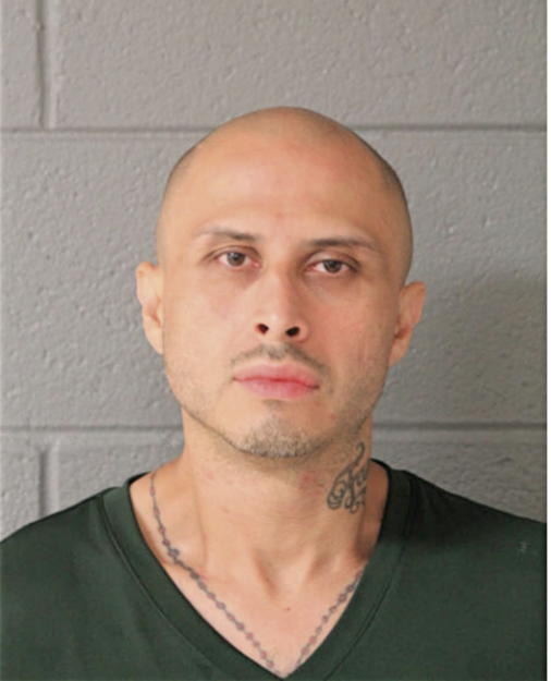 JOSE A CORRAL, Cook County, Illinois