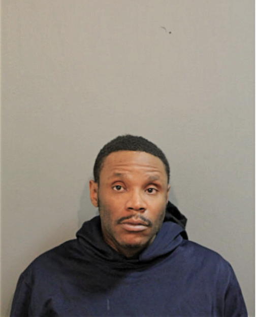 THOMAS R DAVIS, Cook County, Illinois