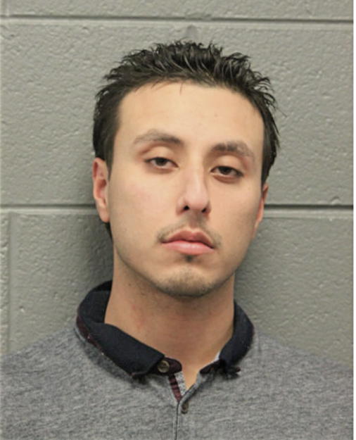 LUIS DEANDA, Cook County, Illinois