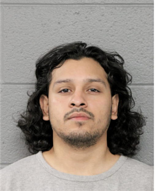 ALEJANDRO I GARCIA, Cook County, Illinois