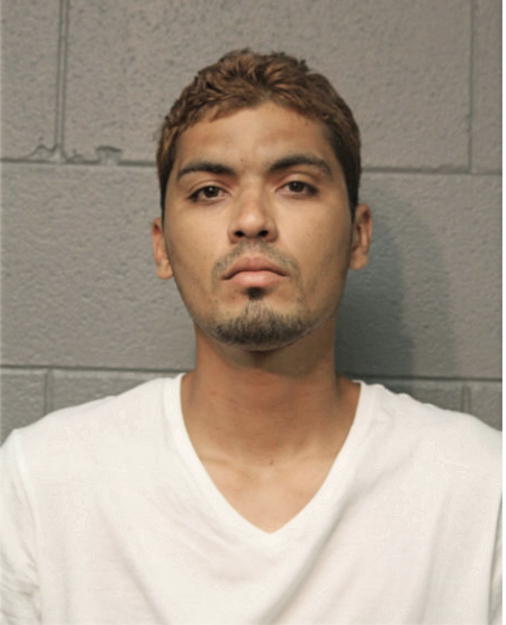 FRANCISCO J GONZALEZ, Cook County, Illinois
