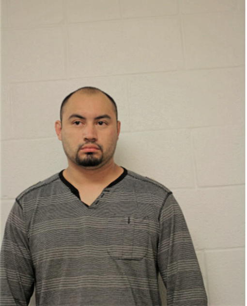 JOSE M GONZALEZ, Cook County, Illinois