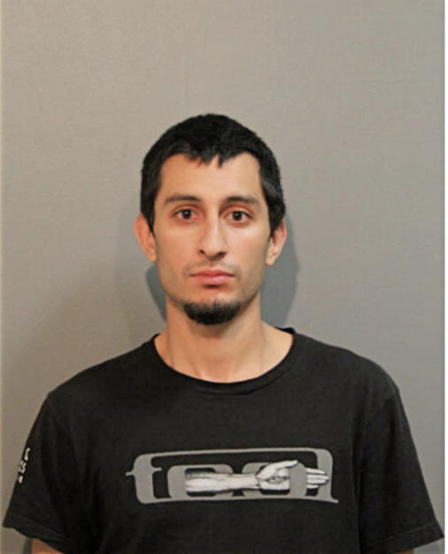 JUAN A GONZALEZ, Cook County, Illinois