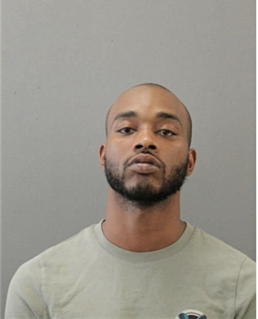 AARON J HAMILTON, Cook County, Illinois