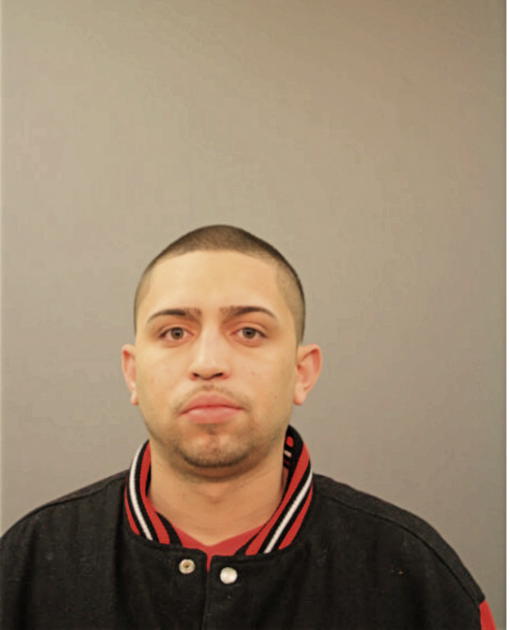 DAVID HERNANDEZ, Cook County, Illinois