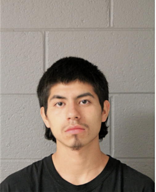 LEONARDO LABSTIDA, Cook County, Illinois