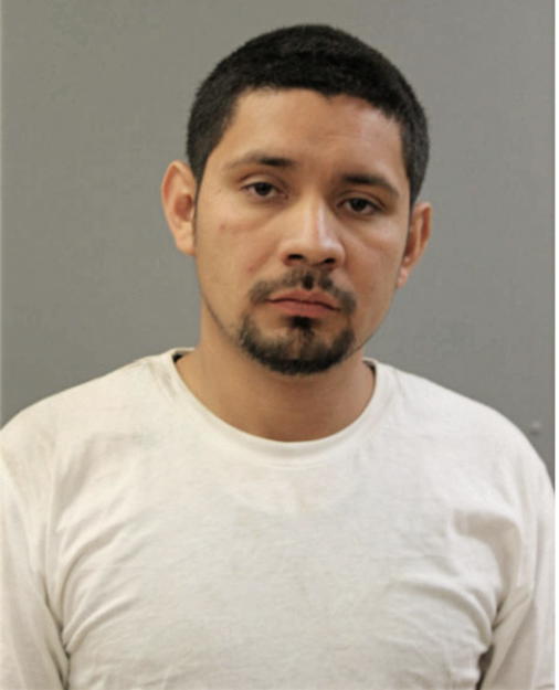HECTOR ELIZANDRO LARA-ALVARADO, Cook County, Illinois