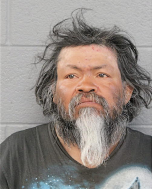 VICTOR LARA, Cook County, Illinois