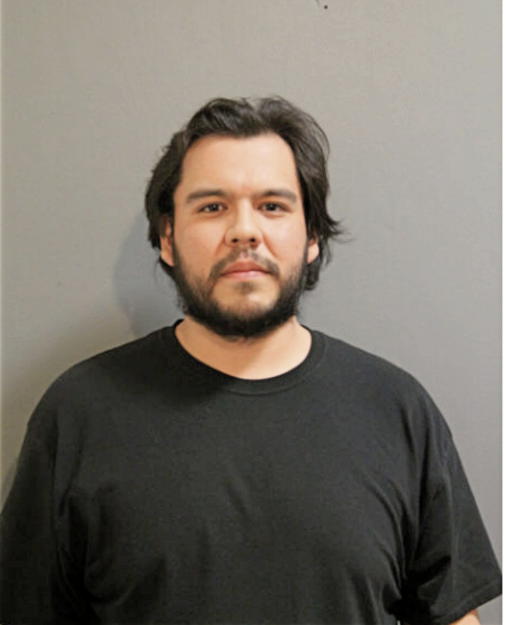 ALBERTO MARTINEZ, Cook County, Illinois