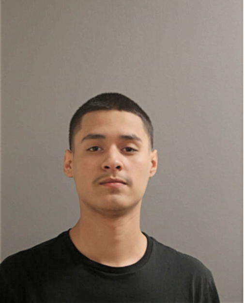 SALVADOR MELGOZA, Cook County, Illinois