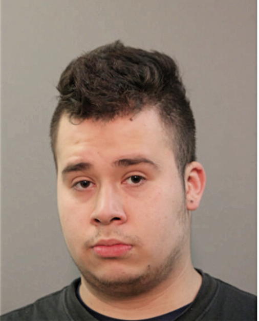 LUIS E MONTEJANO, Cook County, Illinois