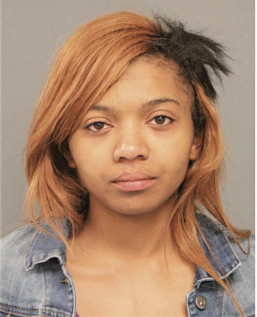 BRIANNA L MONTGOMERY, Cook County, Illinois