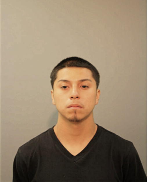 TOMAS MOTA, Cook County, Illinois