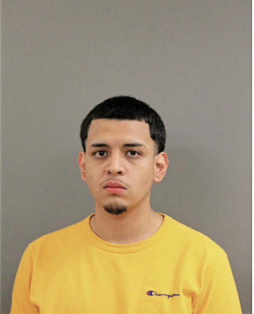 VICTOR M ORTIZ, Cook County, Illinois