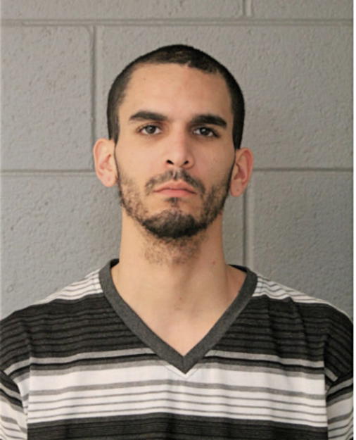 RAFAEL A ROSA, Cook County, Illinois