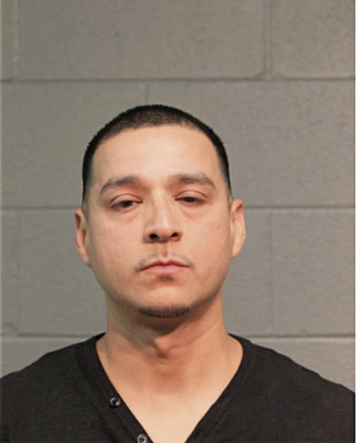 JUAN P SANCHEZ, Cook County, Illinois