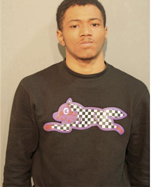 WAYNE Q SLATER, Cook County, Illinois