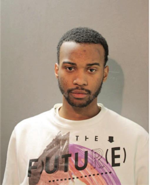 TERRY L STEPHENS, Cook County, Illinois