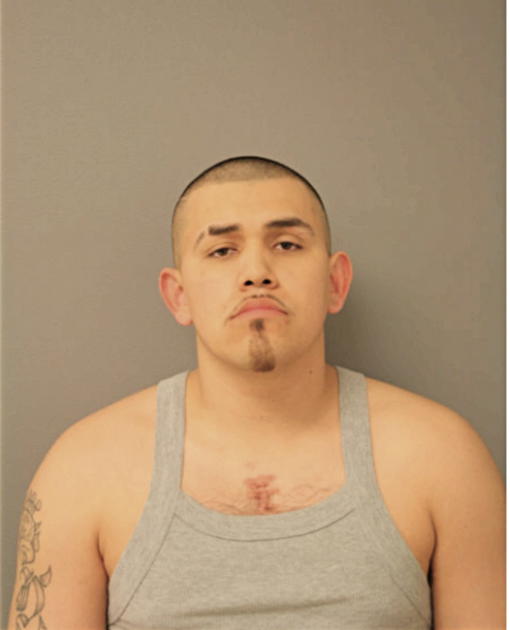 IVAN VALDES, Cook County, Illinois