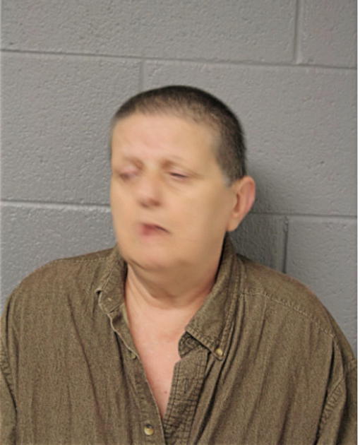 DENISE M ZONA, Cook County, Illinois
