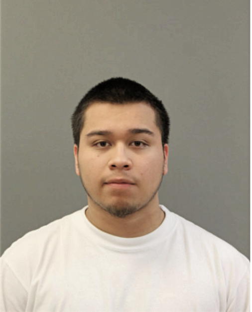 ANTHONY D ACOSTA, Cook County, Illinois