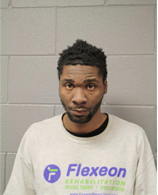 TRIMAINE ANDERSON, Cook County, Illinois