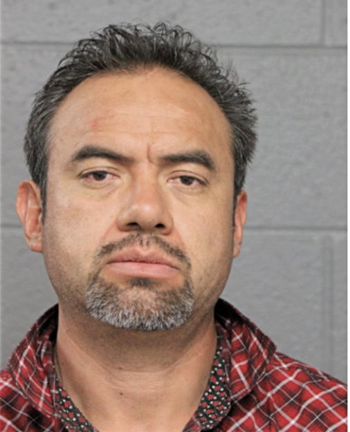 PEDRO V ANDRADE, Cook County, Illinois