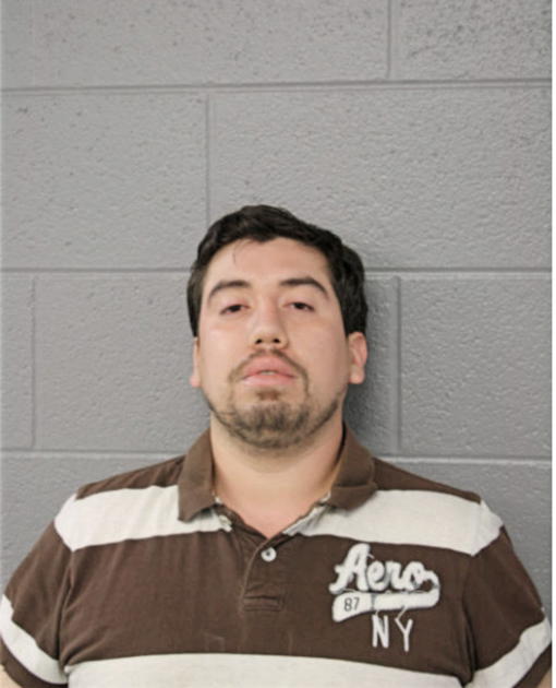MIGUEL A AYALA, Cook County, Illinois
