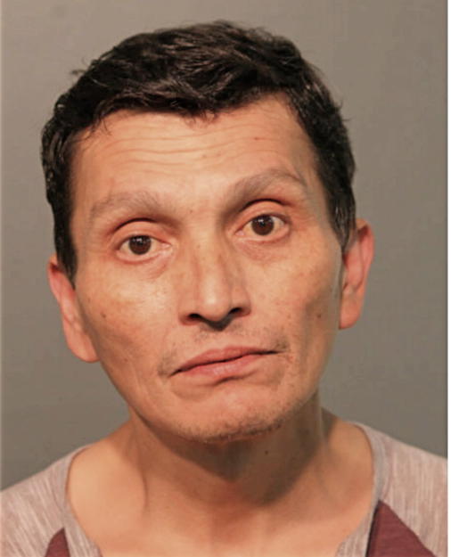 RONALD A AYALA, Cook County, Illinois