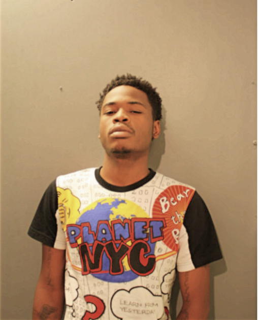 NATHAN L BARR, Cook County, Illinois