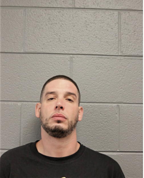 DANNY D BLAGOJEVIC, Cook County, Illinois
