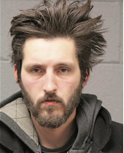 AUSTIN J BROWN, Cook County, Illinois