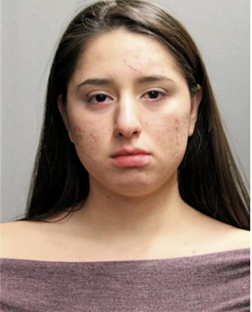 ANGELICA RIVERA CARILLO, Cook County, Illinois