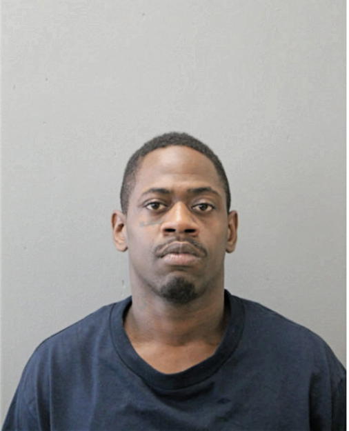 MICHAEL N DAMERON, Cook County, Illinois